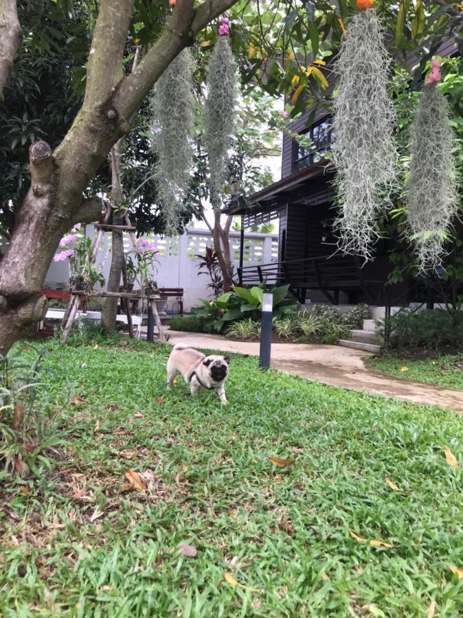 Phra Pradaeng Baansuanklaiklungbangkrachao บ้านสวนใกล้กรุงบางกะเจ้า מראה חיצוני תמונה